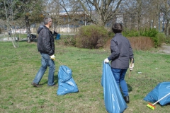 Wiese-voller-Silversterknaller