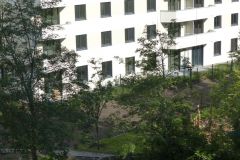 P1050204